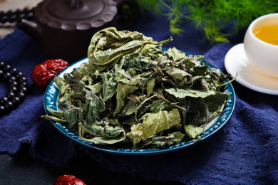 传统中医中药材代茶饮霜桑叶