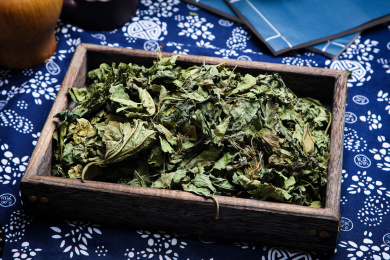 中国传统医学纯天然中药材霜桑叶