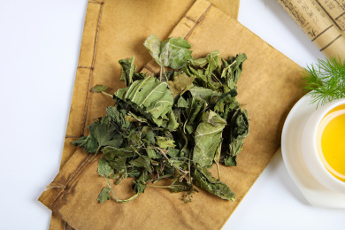 中国传统医学纯天然中药材霜桑叶