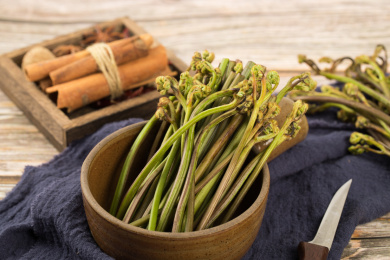 中国特色食品——新鲜食材蕨根