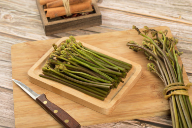 中国特色食品——新鲜食材蕨根
