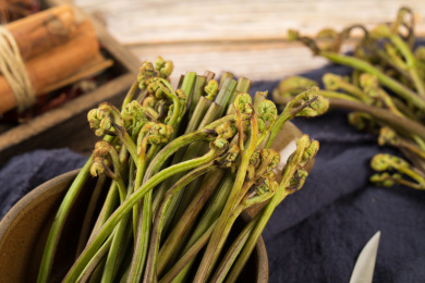 中国特色食品——新鲜食材蕨根