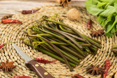 中国特色食品——新鲜食材蕨根