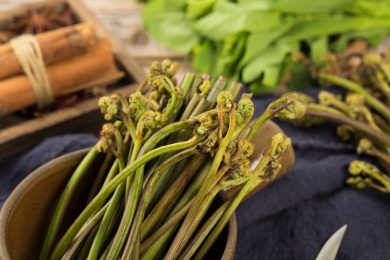 中国特色食品——新鲜食材蕨根