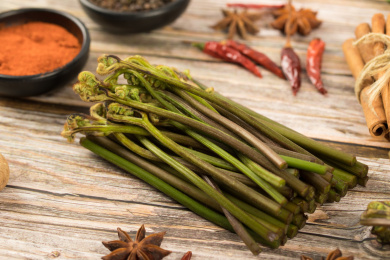 中国特色食品——新鲜食材蕨根