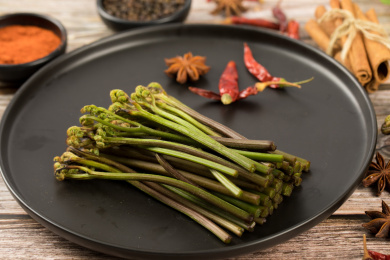 中国特色食品——新鲜食材蕨根