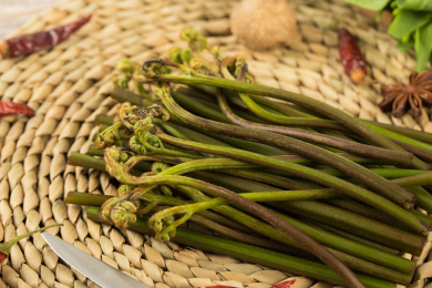 中国特色食品——新鲜食材蕨根