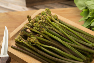 中国特色食品——新鲜食材蕨根