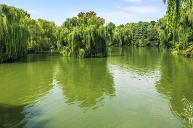 中国山东省济南市大明湖风光