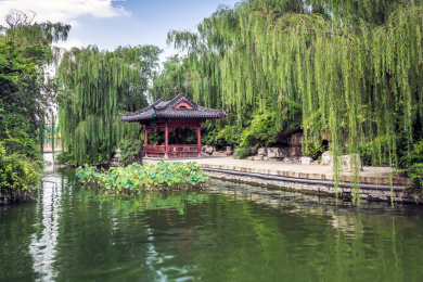中国山东省济南市大明湖湖畔荷塘凉亭风光