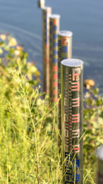 用来监测水位的水利设施水位标尺