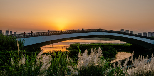 成都市天府新区兴隆湖自然风光