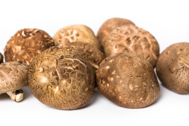 白色背景下的健康绿色野生花菇