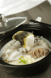中国特色美食浓汤鲃鱼砂煲
