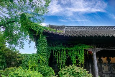 中国古典风格的建筑屋檐和瓦片