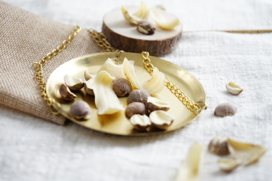 养生煲汤料食疗养生