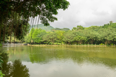 中国广东省深圳市福田区笔架山公园湖面风光
