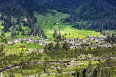 中国西藏自治区林芝鲁朗林海风景区里的小镇