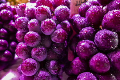 特写拍摄的带有水珠的紫色葡萄