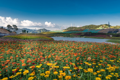 花海湖泊及未完工的工地，中国福建龙岩