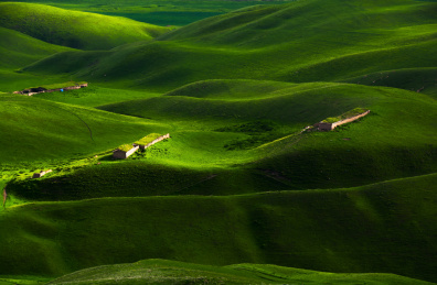 中国新疆伊犁喀拉峻草原春季风光