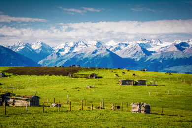 中国新疆伊犁喀拉峻草原春季风光