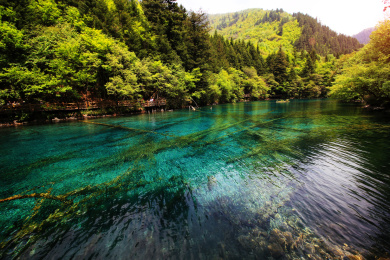 中国九寨沟原生态旅游风景名胜区