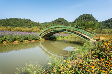 重庆涪陵大木花谷自然风光
