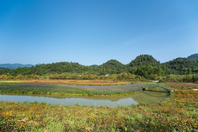 重庆涪陵大木花谷自然风光