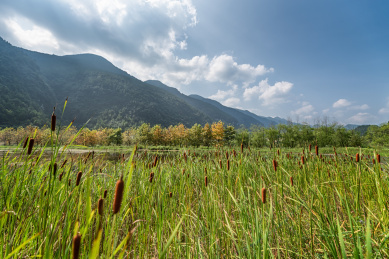 重庆涪陵大木花谷自然风光
