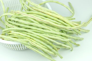洗菜篮里的新鲜绿色蔬菜豇豆