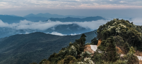 中国福建省长汀县天井山朝霞云海自然景观