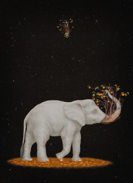 24节气立冬-大象