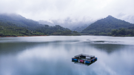 中国广东省广州市从化区凤凰山庄水库平静空旷的水面与雾气环绕的山峰