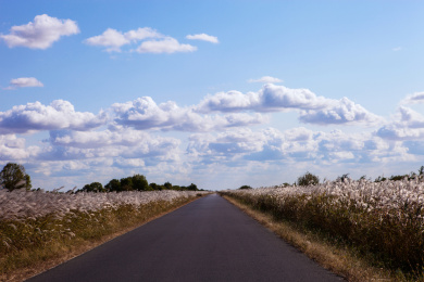 山东省东营市黄河入海口风景区