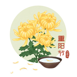 九月九日重阳节赏菊祭祖节日手绘插画