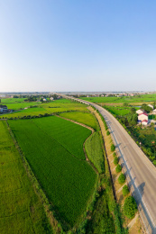 航拍一条公路桥穿过绿油油的现代农田