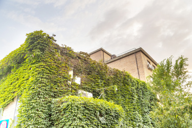 秋天下午夕阳下北京798艺术区爬满绿植的老房子