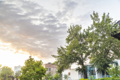 秋天夕阳下北京798艺术区的树和房子