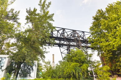 秋天夕阳下北京798艺术区的大树