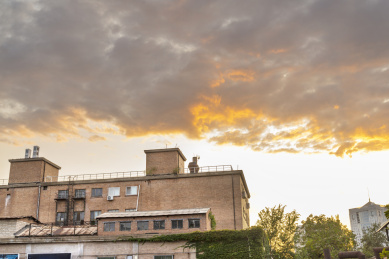 秋天夕阳下北京798艺术区红色砖的建筑