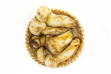 白背景圆形竹筐里的新鲜松茸食材