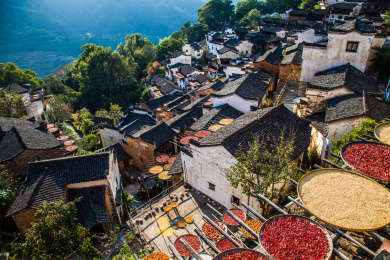 中国江西上饶婺源农民晒秋收