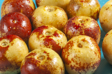 颜色鲜艳的新鲜冬枣摆放在桌面上