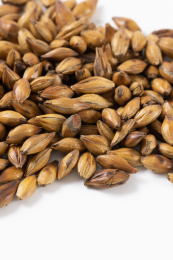 白色背景上的大麦茶