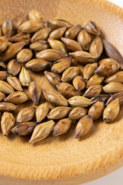 白色背景上的大麦茶