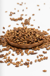 白色背景上的大麦茶