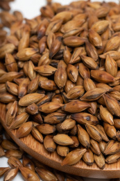 白色背景上的大麦茶