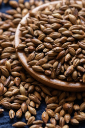 蓝色布上的大麦茶