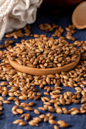 蓝色布上的大麦茶